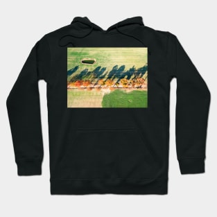 Alley of autumn trees among green fields in countryside Hoodie